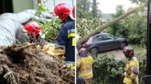 500 zgłoszeń do strażaków spowodowanych przez powalone konary, zerwane dachy i zalane piwnice