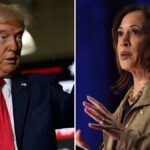 Konfrontacja: Donald Trump i Kamala Harris rywalizują o zwycięstwo w kluczowych stanach USA [ANALIZA]