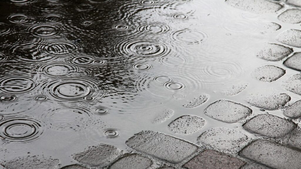 Prognoza meteorologiczna dla Szczecina na dzień 26 stycznia 2025 roku.