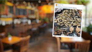 Afera w Madrycie. Restauracja podawała dzikie gołębie zamiast obiecywanej pieczonej kaczki.
