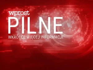 Katastrofa prywatnego samolotu na osiedlu mieszkalnym. „Liczne ofiary śmiertelne”