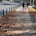 Za nieuprzątnięte liście możesz zapłacić nawet 5 tysięcy. Sprawdź, kiedy grozi Ci kara i dlaczego sprzątanie jest obowiązkowe