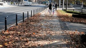 Za nieuprzątnięte liście możesz zapłacić nawet 5 tysięcy. Sprawdź, kiedy grozi Ci kara i dlaczego sprzątanie jest obowiązkowe