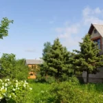 Te rośliny przy ogrodzeniu? Szybko rozprzestrzenią się do sąsiadów – lepiej nie sadź ich przy płocie