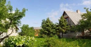 Te rośliny przy ogrodzeniu? Szybko rozprzestrzenią się do sąsiadów – lepiej nie sadź ich przy płocie